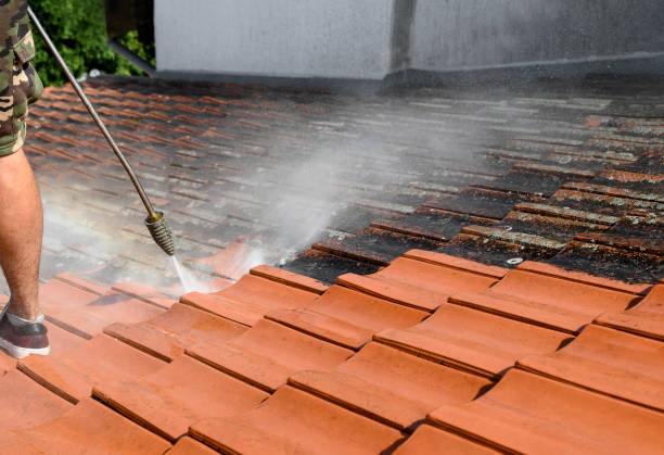 Best Local Pressure Washing Services  in , IL