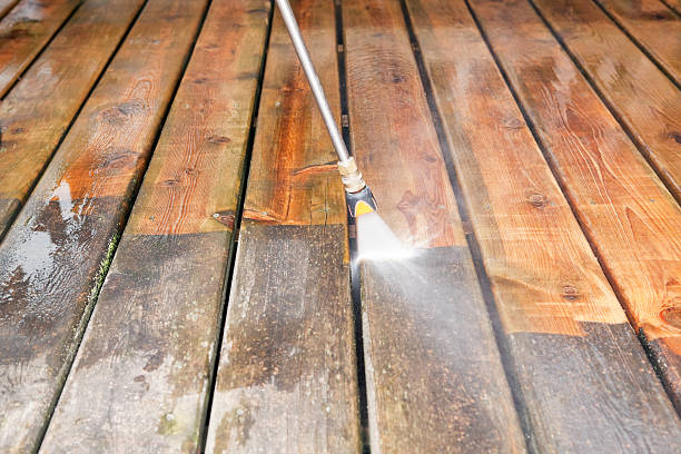 Best Roof Pressure Washing  in , IL